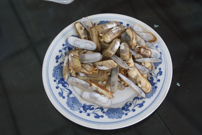杭州南麂岛_南麂岛风光照片_杭州南麂岛海鲜(2)