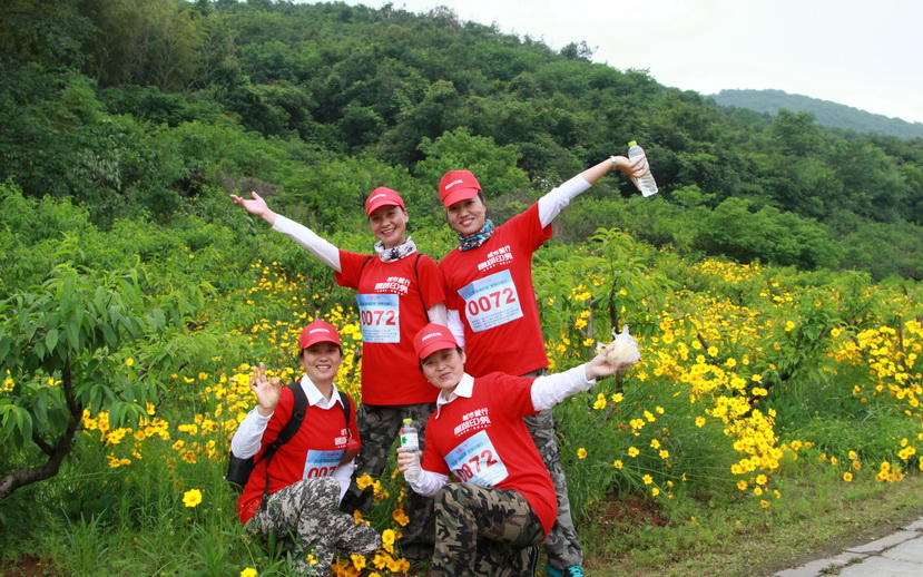 房屋设计小青柑_宫廷普洱小青柑_小青家去年总收入